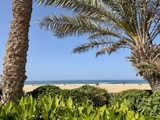 Agadir2026_2823429.JPG