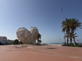 Agadir2026_2823529.JPG