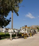 Agadir2026_2823629.JPG