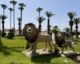 Agadir2026_2823729.JPG