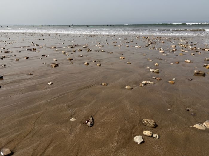 Agadir2026_2815829.JPG