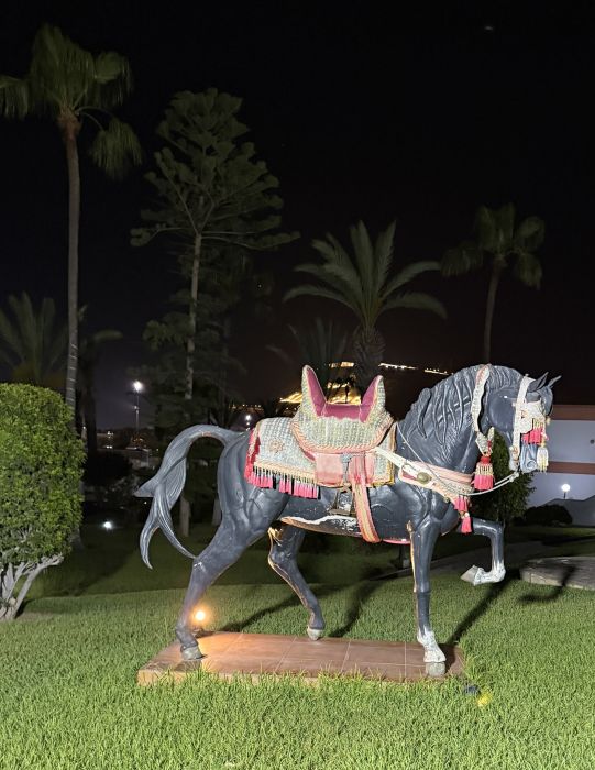 Agadir2026_281729.JPG