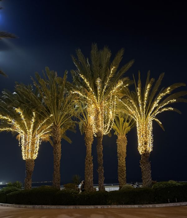 Agadir2026_2821629.JPG