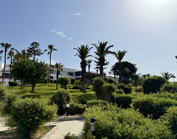 Agadir2026_2822029.JPG