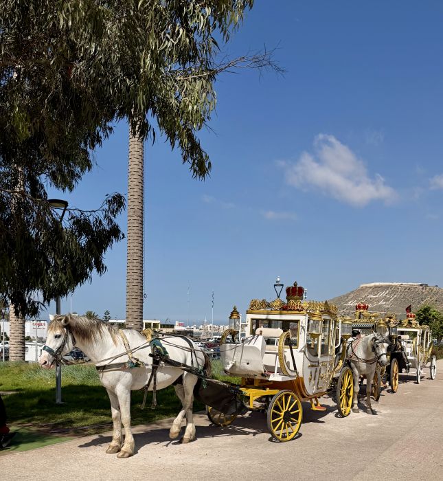 Agadir2026_2822529.JPG