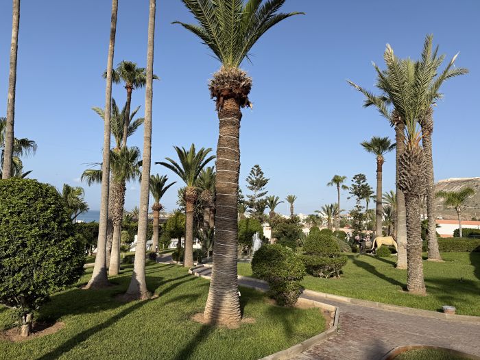 Agadir2026_282429.JPG