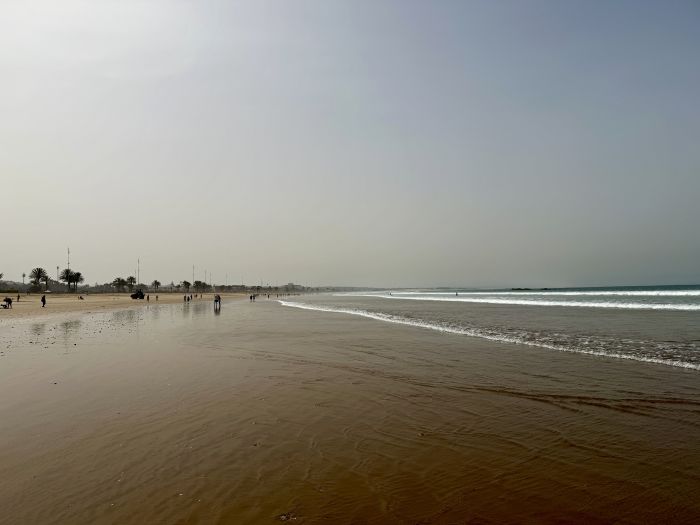 Agadir2026_2824829.JPG