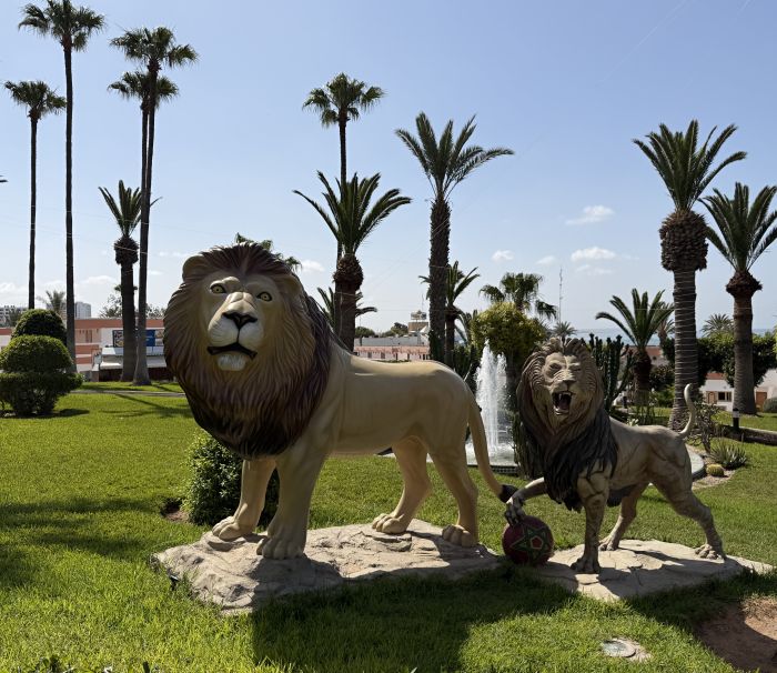 Agadir2026_284029.JPG