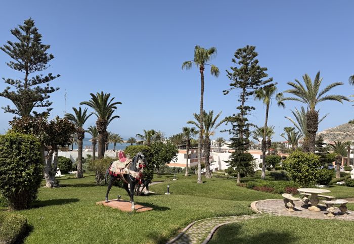 Agadir2026_284129.JPG