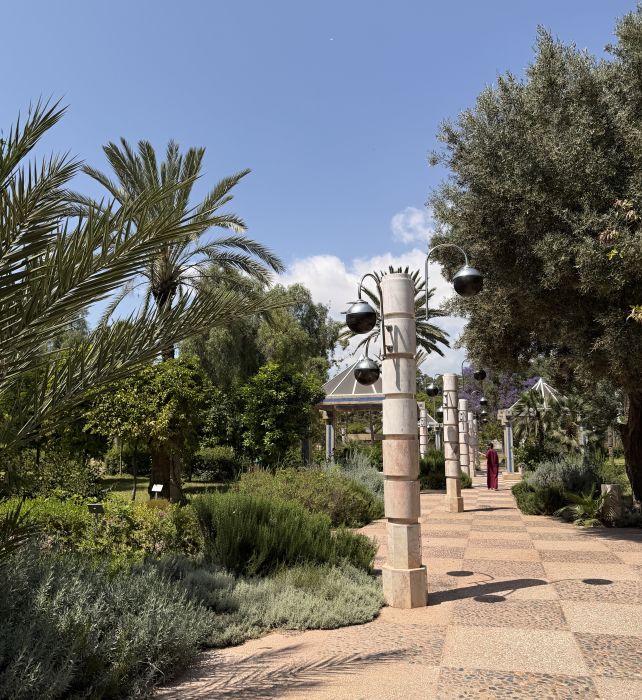 Agadir2026_286329.JPG