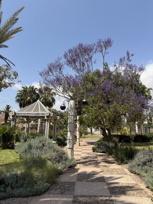 Agadir2026_286429.JPG