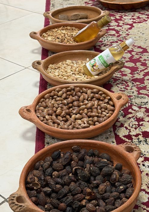 Agadir2026_288129.JPG