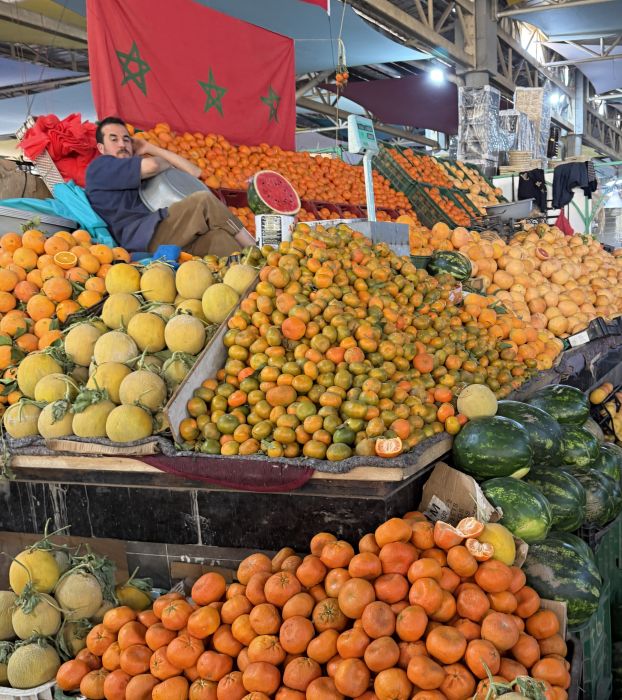 Agadir2026_289329.JPG