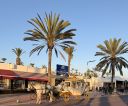 Agadir2026_2810429.JPG
