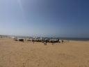 Agadir2026_2812229.JPG