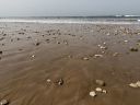 Agadir2026_2815829.JPG