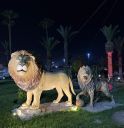 Agadir2026_281629.JPG