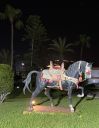 Agadir2026_281729.JPG