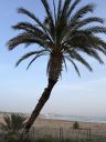 Agadir2026_2819629.JPG