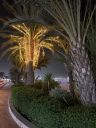 Agadir2026_2821429.JPG