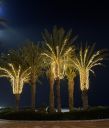 Agadir2026_2821629.JPG
