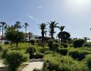 Agadir2026_2822029.JPG
