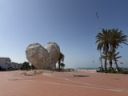 Agadir2026_2823529.JPG