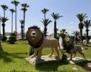 Agadir2026_2823729.JPG
