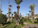 Agadir2026_282429.JPG