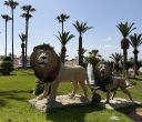 Agadir2026_284029.JPG