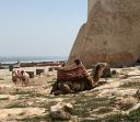 Agadir2026_285229.JPG