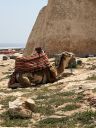 Agadir2026_285329.JPG
