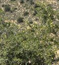 Agadir2026_285529.JPG