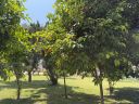 Agadir2026_286829.JPG