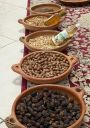 Agadir2026_288129.JPG