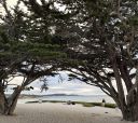 carmel23_286329.JPG