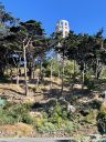 san_francisko_23_286429.JPG