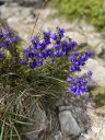 tatry24_288129.JPG