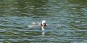 triatlon22_281529.JPG