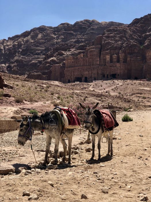 Petra_01_2811729.JPG