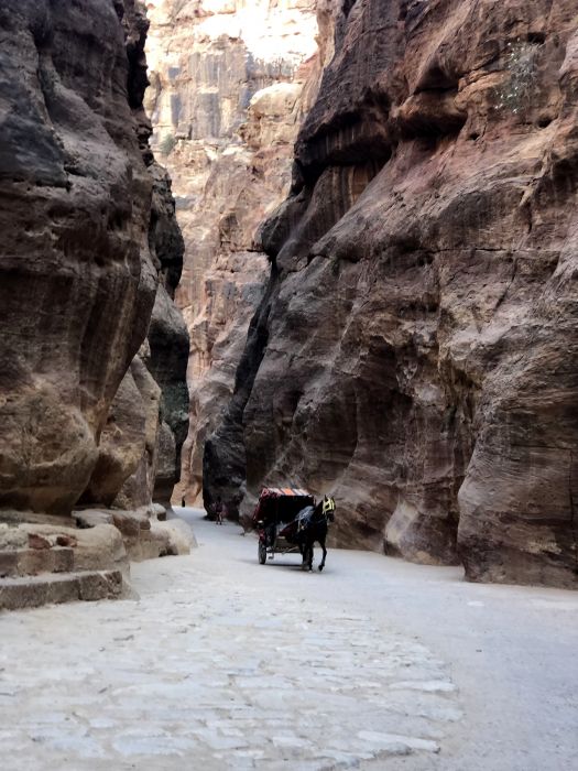 Petra_01_28829.JPG