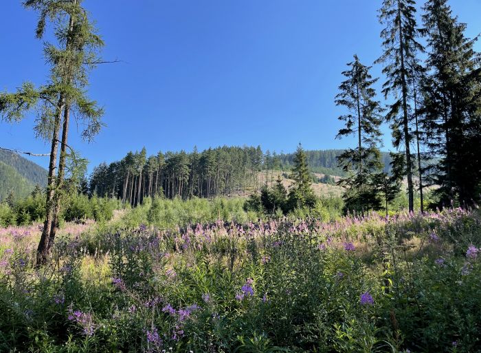 Tatry2022_281029.JPG