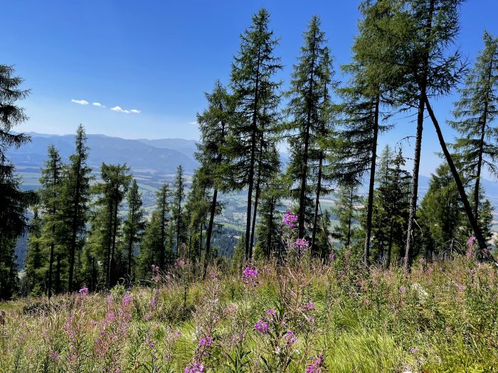 Tatry2022_283029.JPG