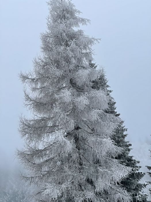 liberec23_28629.JPG