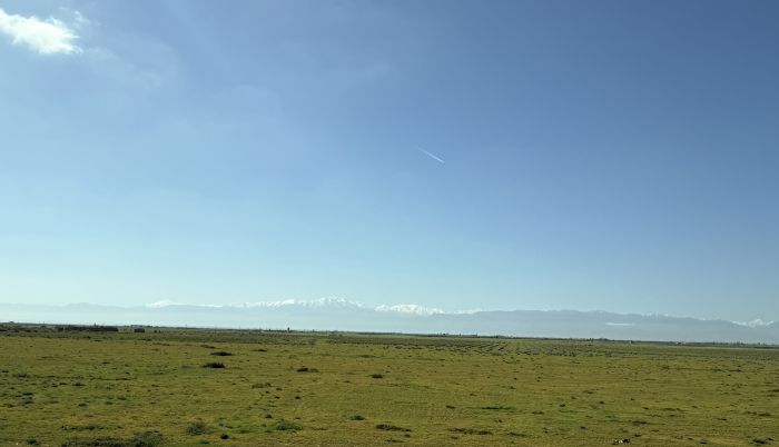 marakes2_28329.JPG