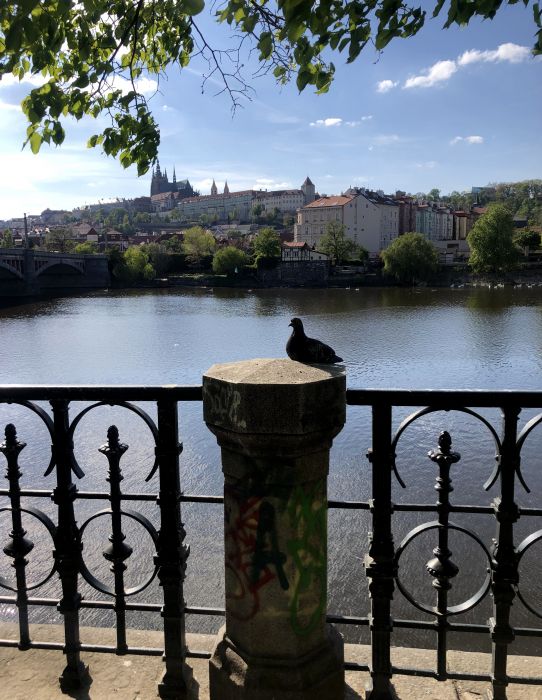 praha_283329.JPG