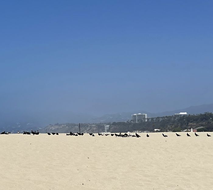 santa_monica_23_2814129.JPG