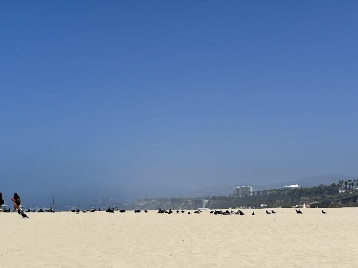 santa_monica_23_2814229.JPG