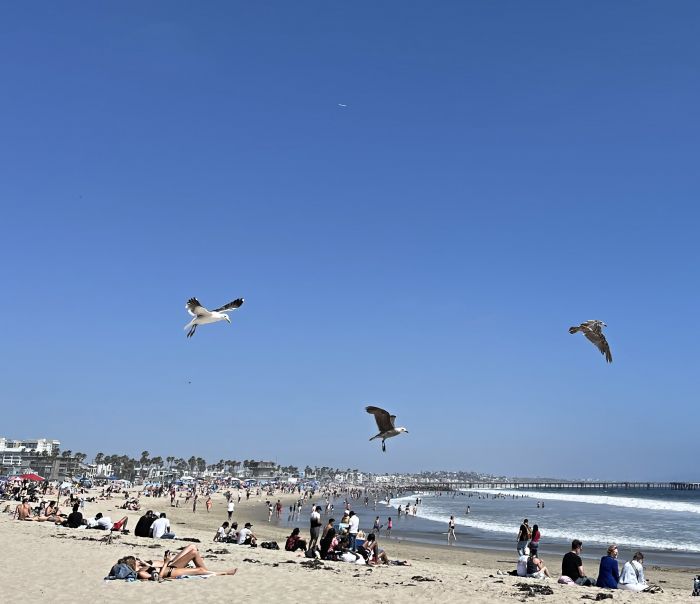 santa_monica_23_2817529.JPG