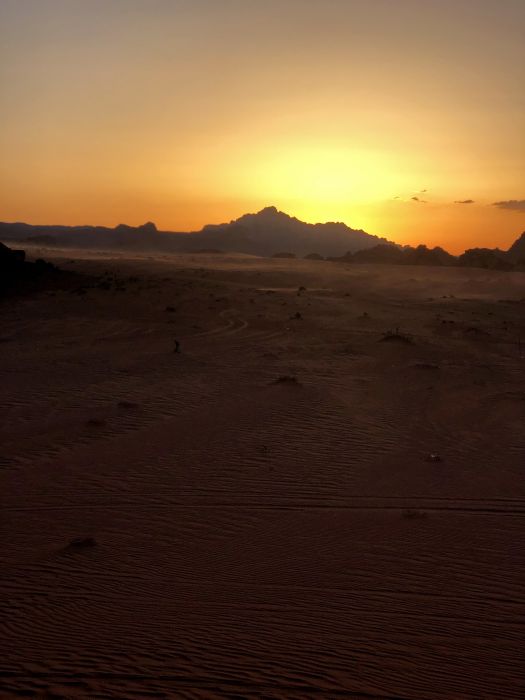 wadi_01_2810329.JPG